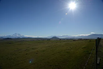 DSC_1059 (Large).JPG